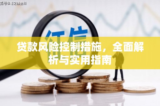 繁峙贷款风险控制措施，全面解析与实用指南