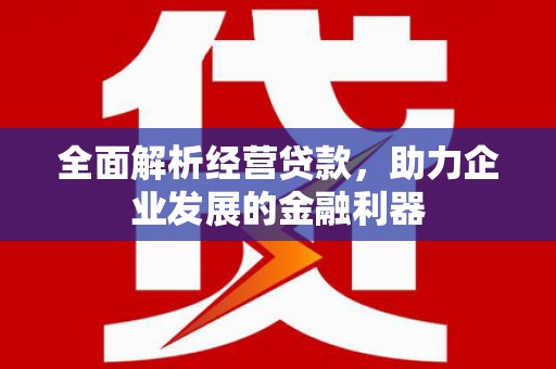 繁峙全面解析经营贷款，助力企业发展的金融利器