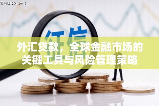 繁峙外汇贷款，全球金融市场的关键工具与风险管理策略