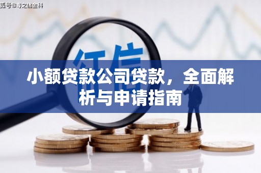 繁峙小额贷款公司贷款，全面解析与申请指南