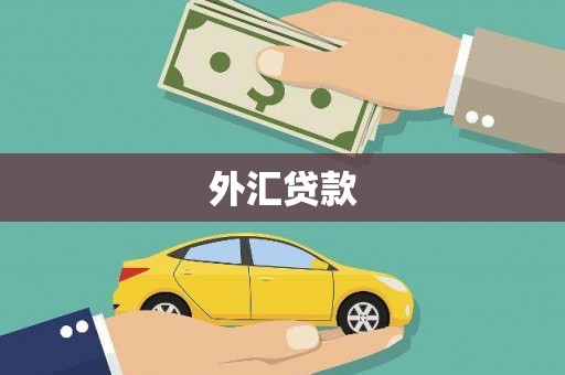 繁峙外汇贷款