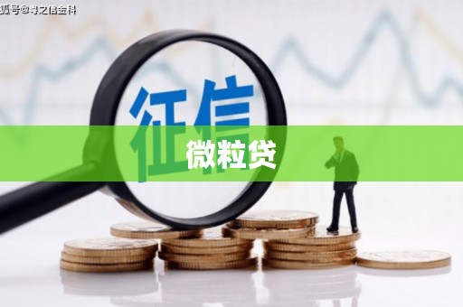 繁峙微粒贷
