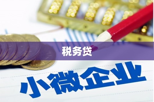 繁峙税务贷
