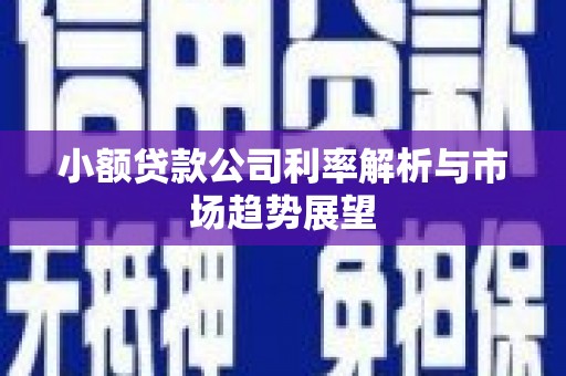 繁峙小额贷款公司利率解析与市场趋势展望