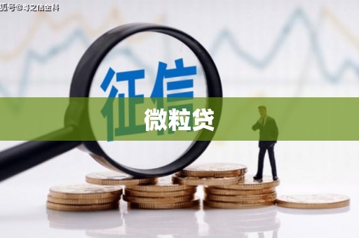 繁峙微粒贷
