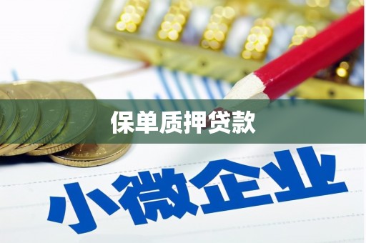 繁峙保单质押贷款