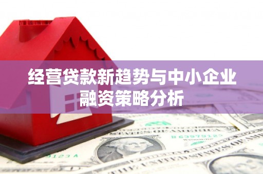 繁峙经营贷款新趋势与中小企业融资策略分析