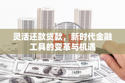 繁峙灵活还款贷款，新时代金融工具的变革与机遇