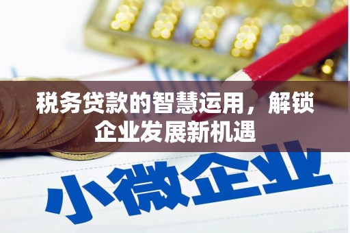 繁峙税务贷款的智慧运用，解锁企业发展新机遇