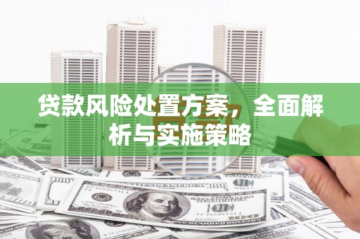 繁峙贷款风险处置方案，全面解析与实施策略