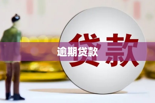 繁峙逾期贷款